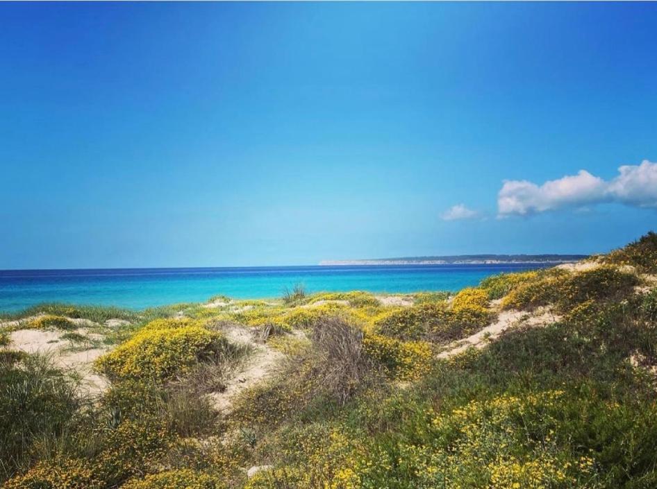 Casa de Férias Casa Migjorn, Immersa Nella Natura A Pochi Passi Dal Mare *