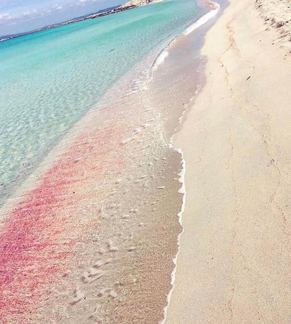 Casa Migjorn, Immersa Nella Natura A Pochi Passi Dal Mare * Es Calo (Formentera)